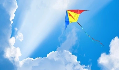 Flying Kite